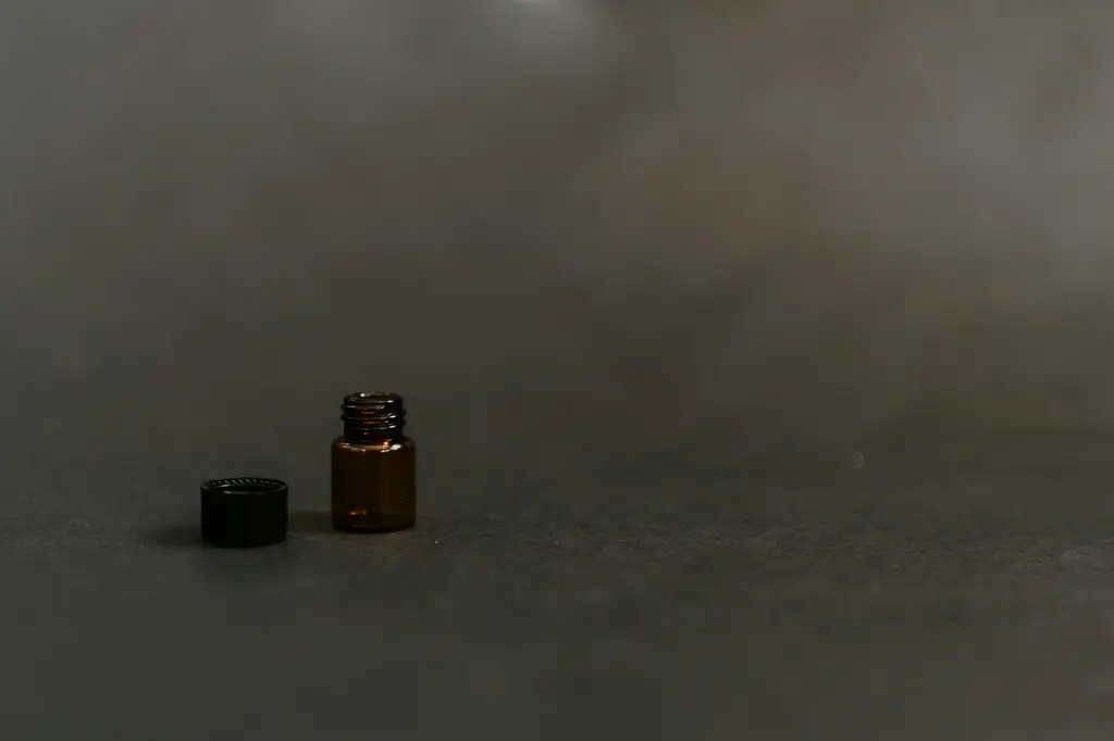 頭部經絡：探索人體智慧的通道