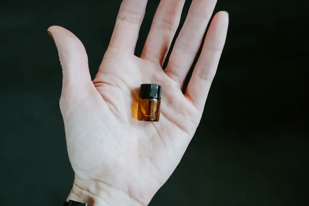 讓身心灵舒壓！名家帶路，暢談小米按摩好物