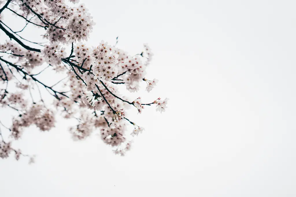 1. 推薦的按摩床墊