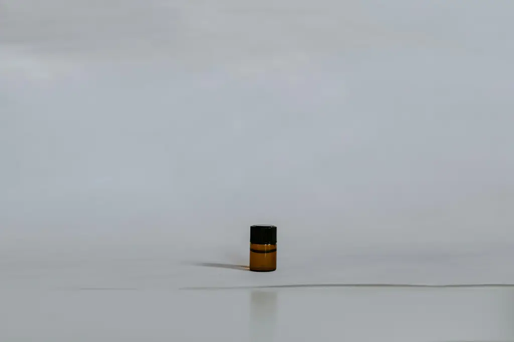 массаж道的極致享受：台灣養生文化之精髓